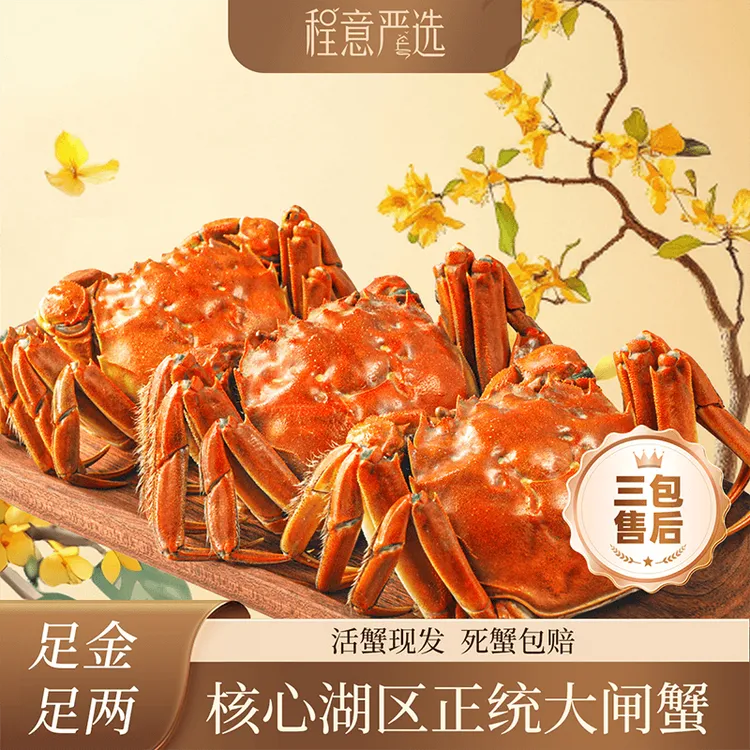 【活蟹】大闸蟹全母蟹3.1-2.8两 6-10只顺丰包邮