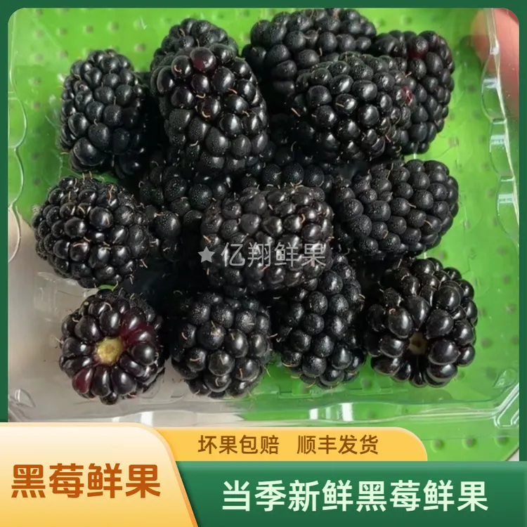 当季新鲜黑莓250克起网红覆盆子黑梅鲜果水果发顺丰空运