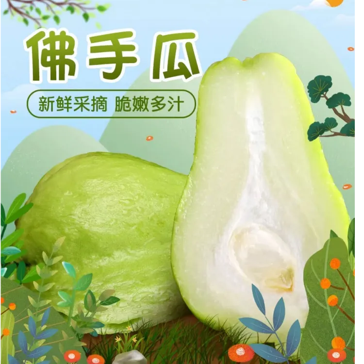 【极限优惠】云南农家正宗现摘新鲜佛手瓜（福寿瓜洋丝瓜）包邮