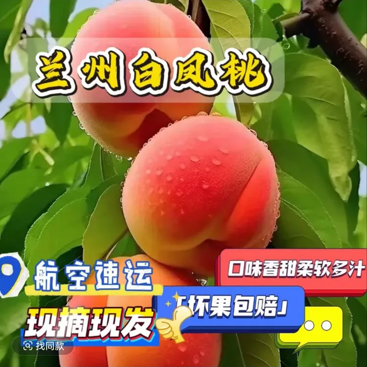 【甘肃省内包邮】兰州白凤桃新鲜现摘鲜甜多汁当季应季水果