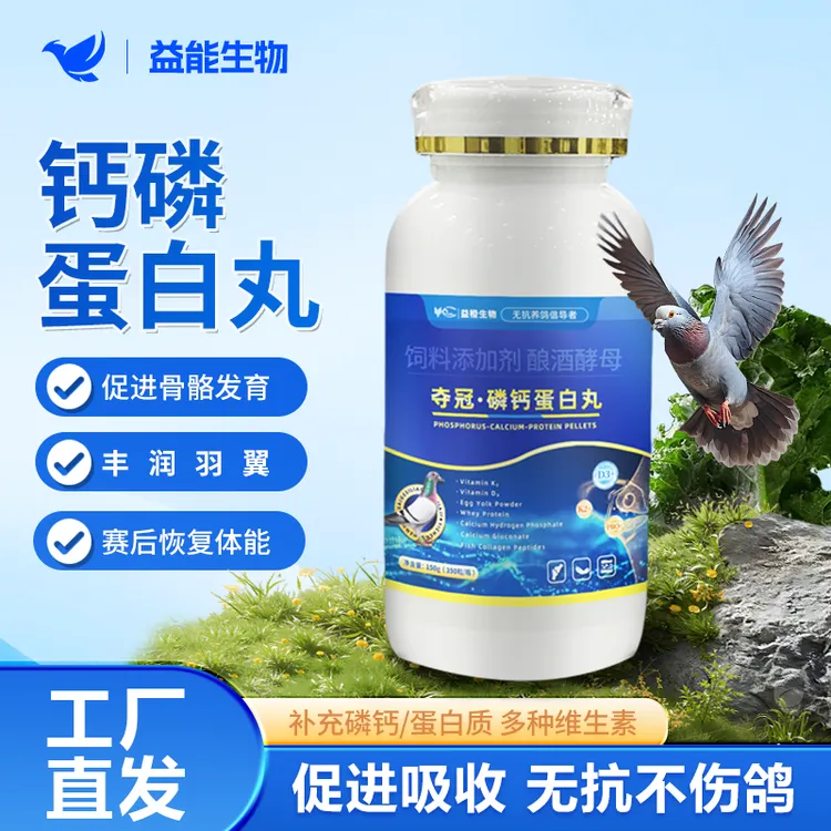 益橙磷钙蛋白丸赛鸽元宝鸽鸽子鸽子养殖种鸽赛补钙补营养丰羽商品图
