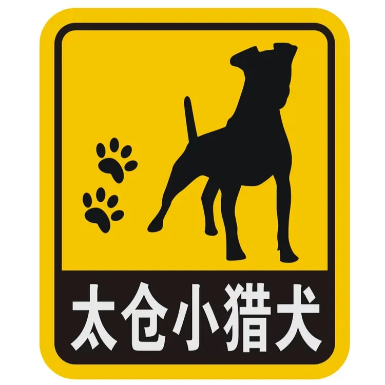 太仓犬猎犬宠物车贴反光警示贴