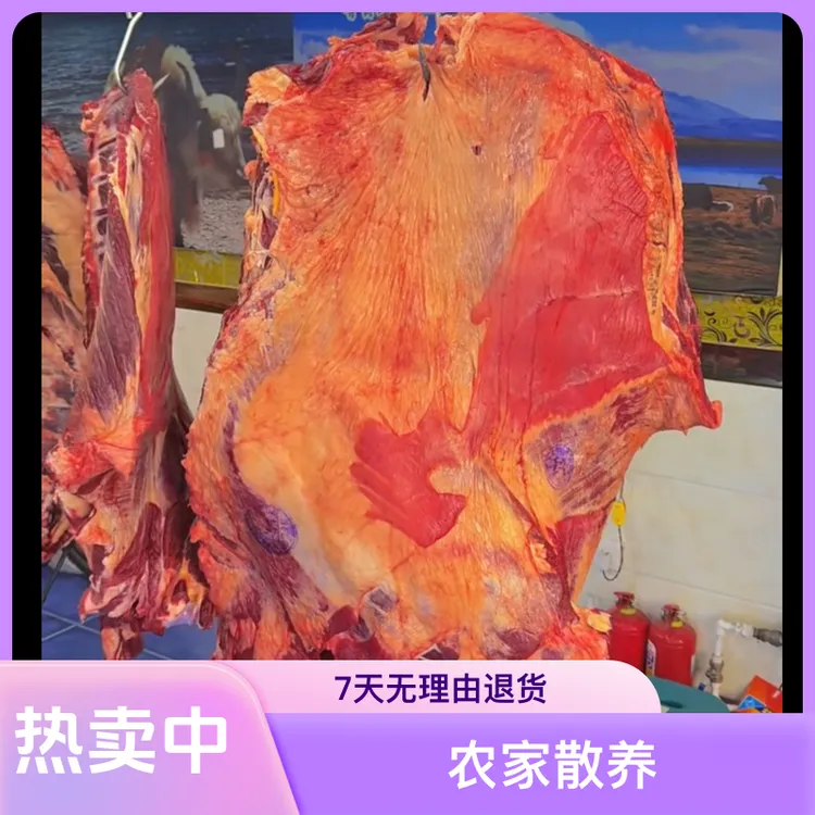 农家散养原生态新鲜冷冻牛排小肋排美味食材牛排骨牛肉