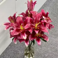 【云舍花卉】稀有【永恒的爱】单瓣百合全场任意满两单及以上鲜花包邮