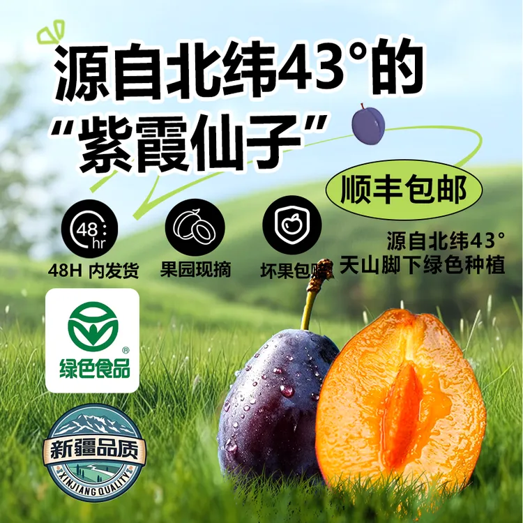 【蓉姐专属】夏天的果园新疆绿色食品认证法兰西西梅甜蜜可口