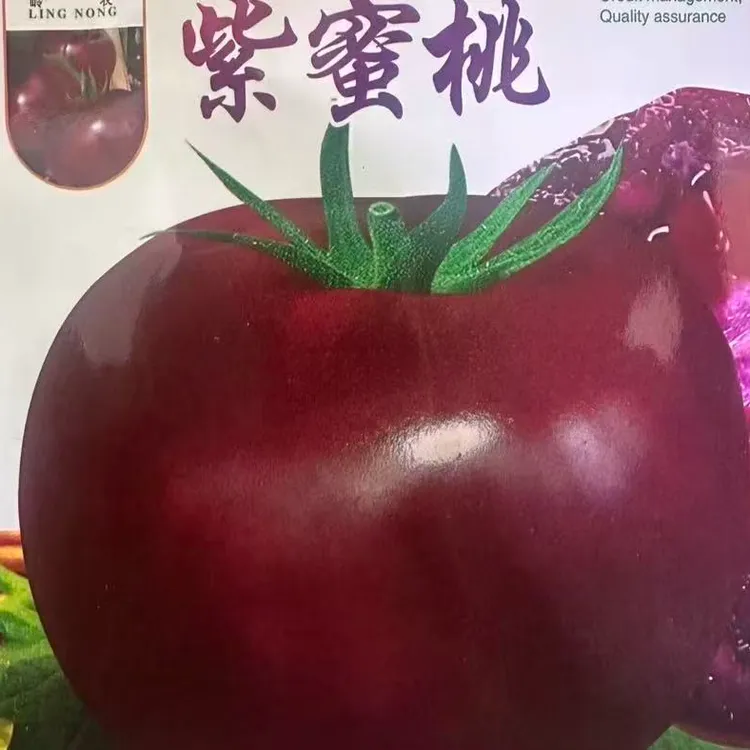 【紫蜜桃番茄种子】四季种植盆栽地栽阳台小院种植