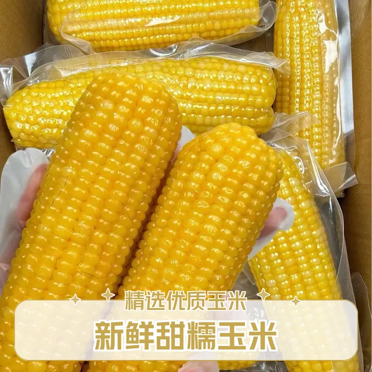 2025东北新玉米黑土地粘糯黄糯玉米苞米软糯香甜真空锁鲜常温可存
