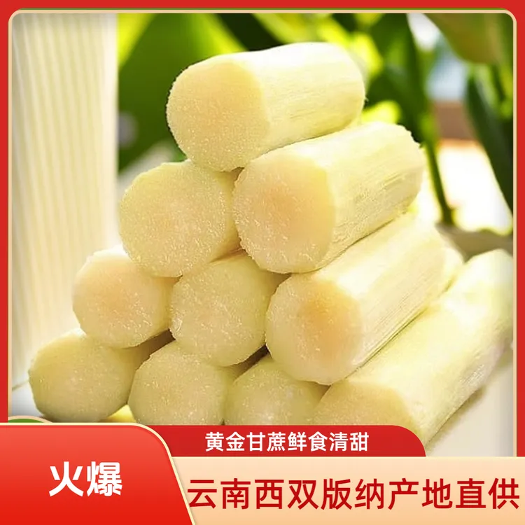 云南《西双版纳手撕黄金甘蔗》现砍新鲜应季皮薄清甜多汁黄皮甘蔗