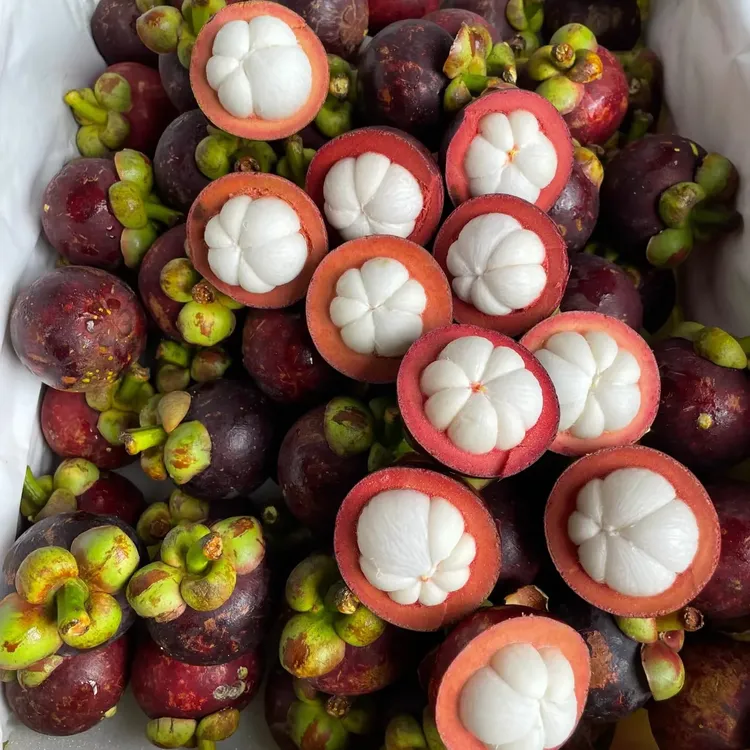 【彩味堂】泰国进口新鲜山竹老树当季时令2.5/5斤顺丰包邮