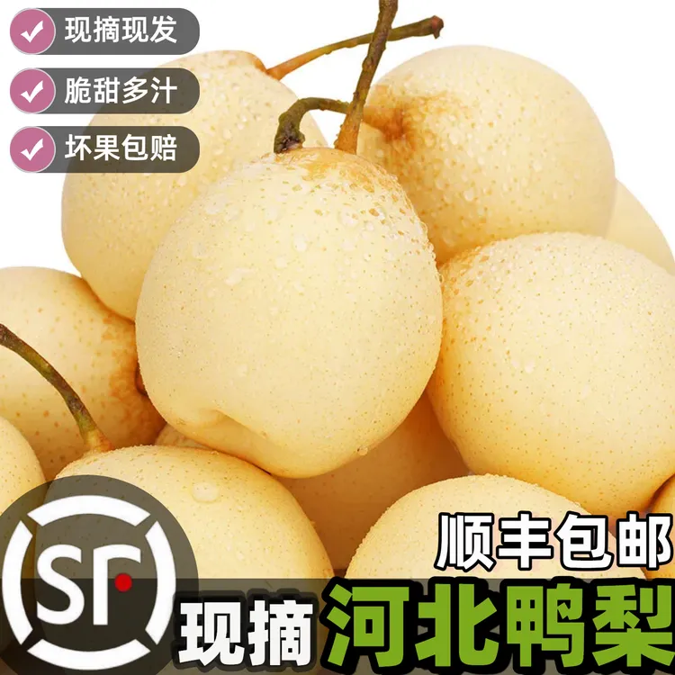 【顺丰】中秋水果礼盒河北鸭梨酥脆多汁当季新鲜水果产地直发雪梨子
