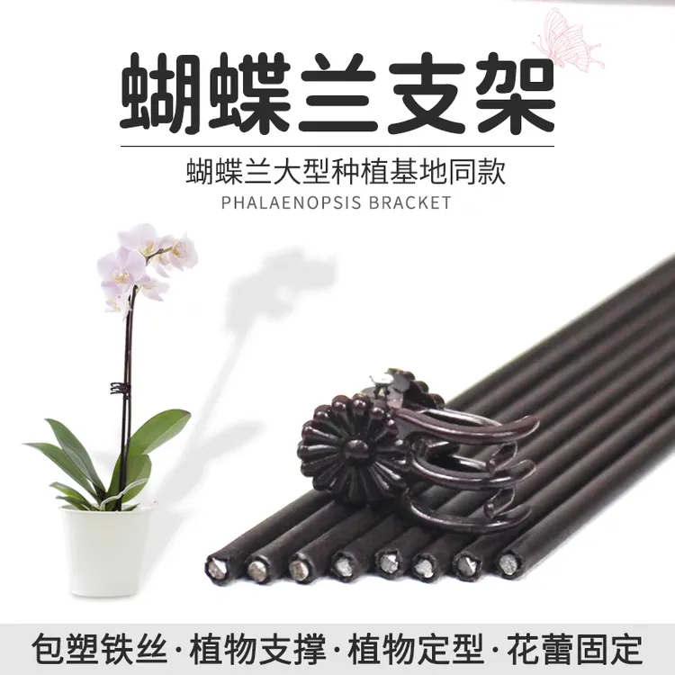 趣植元蝴蝶兰花支架植物固定专用爬藤造型防倒伏园艺支撑杆夹子
