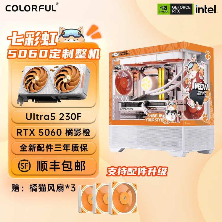 七彩虹RTX5060 8G+Ultra5 230F 橘猫海景房三角洲游戏DIY电脑主机