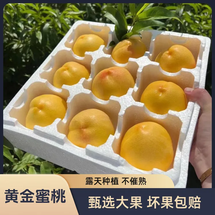 【辽宁东戴河】黄金水蜜桃脆甜当季桃子现摘直发坏果包赔新鲜水果