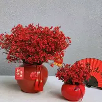 【腊梅】年宵花 观赏植物 颜色鲜艳  花期超长 香味浓郁