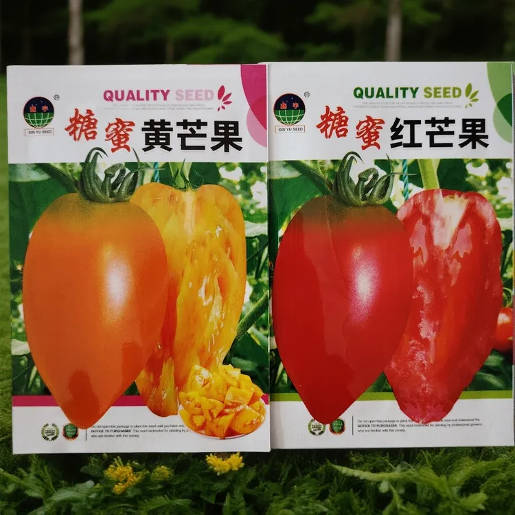 糖蜜芒果柿子籽100粒左右