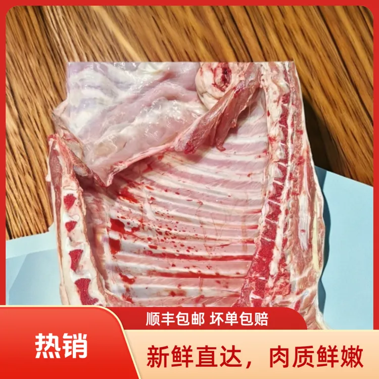 现杀套餐现宰—青藏高原藏系草膘羊清真进博会羊排羊肉新鲜羊肋排