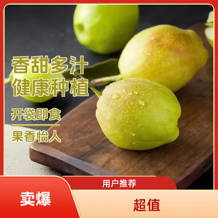 【库尔勒香梨果王包邮】25年新货大果肉质青脆皮薄多汁无渣新疆发货