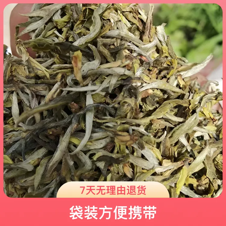 云南墨江手工春茶芽孢热性茶春茶罐罐茶