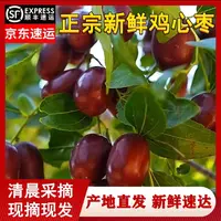（顺丰包邮）新鲜鸡心枣鲜枣长枣当季水果脆甜孕妇新鲜红枣1-5斤