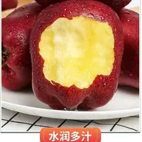 甘肃天水花牛苹果脆甜爆汁新鲜水果粉面香甜可做宝宝辅食Y