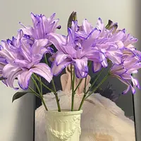 【云舍花卉】【紫色水晶】吸色重瓣百合 全场鲜花任意满2单及以上包邮