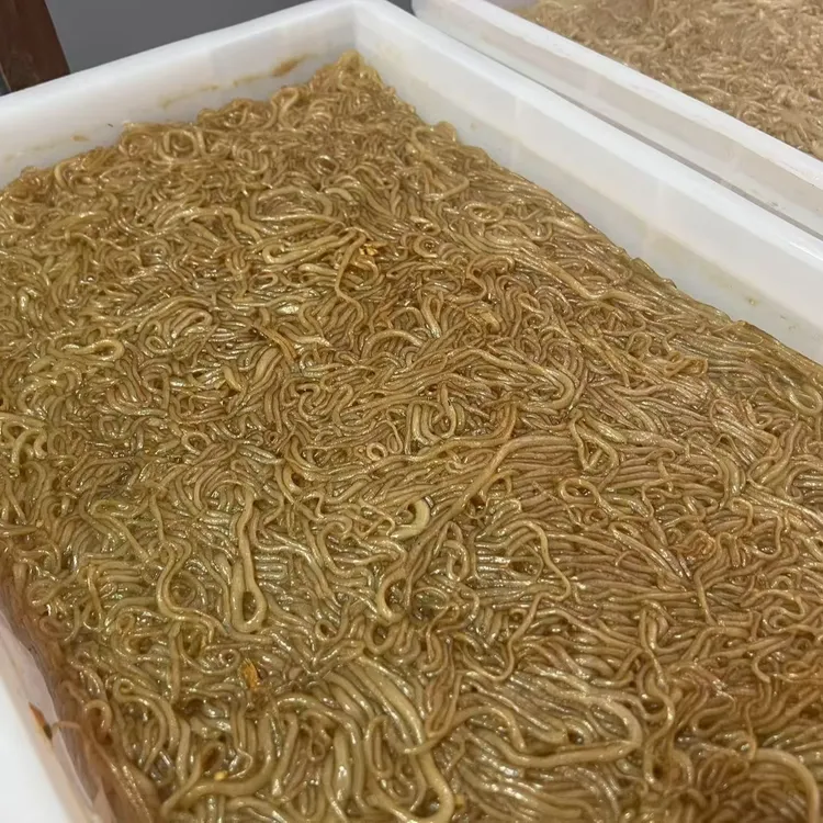 皮渣焖子邯郸魏县特产农户自产自销皮渣纯红薯粉芡无任何辣椒萝卜