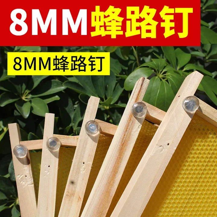 中蜂专用蜂路钉巢框间距固定钉中蜂巢脾卡条转场专用钉子蜂场物资