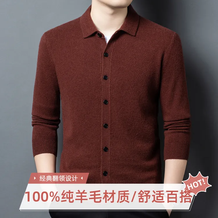 正品100%纯羊毛针织衫男2025秋冬季新款开衫加厚翻领百搭毛衣爸爸