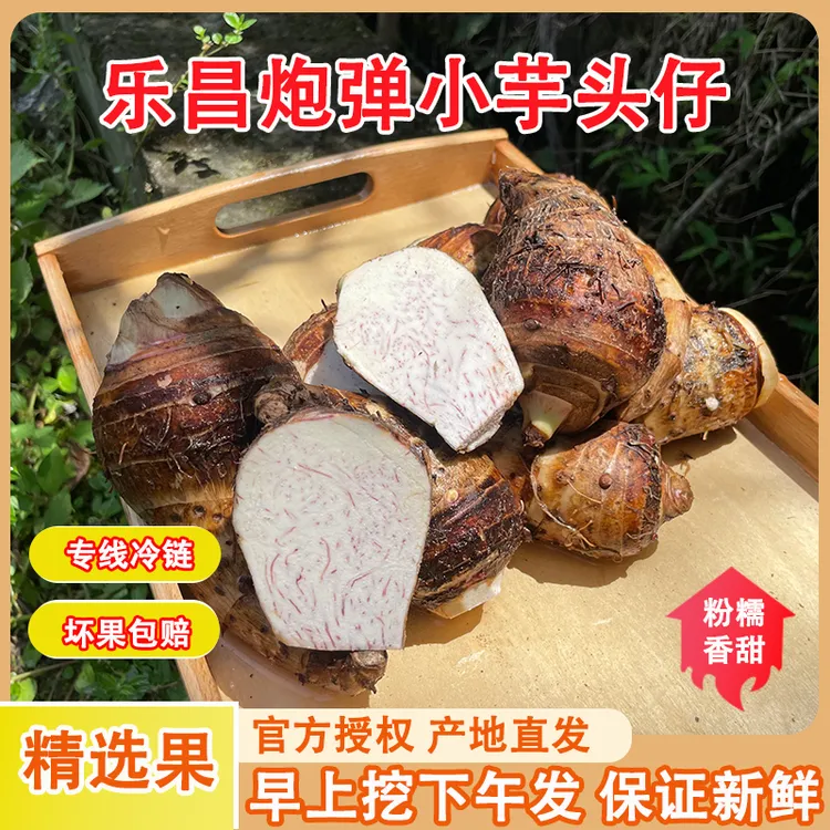 【顺丰包邮】广东韶关乐昌张溪香芋炮弹芋头小芋头仔粉糯毛芋槟榔芋