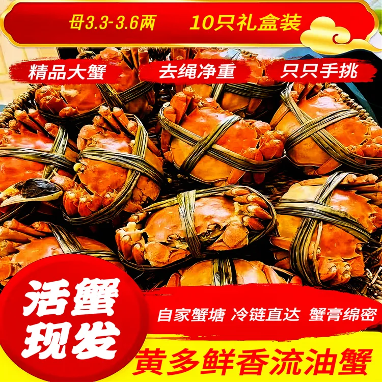 【活蟹】大闸蟹母3.3-3.6两10只装礼盒包邮到家