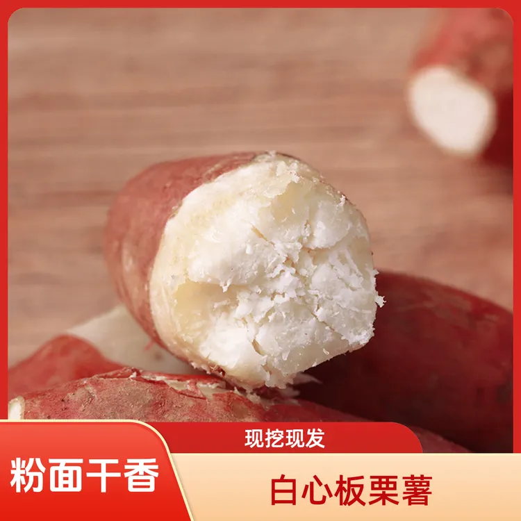 新鲜白心板栗薯现挖红皮白瓤红薯粉面香甜老品种板栗地瓜白薯山芋