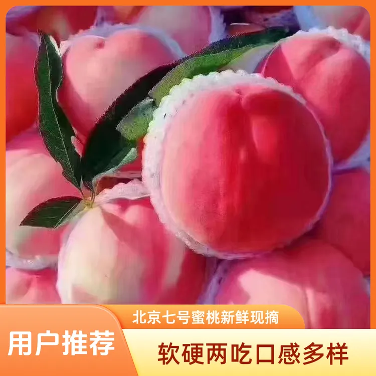 北京七号秋雨蜜桃来自天水秦安露天生长新鲜现摘软硬两吃网红水果