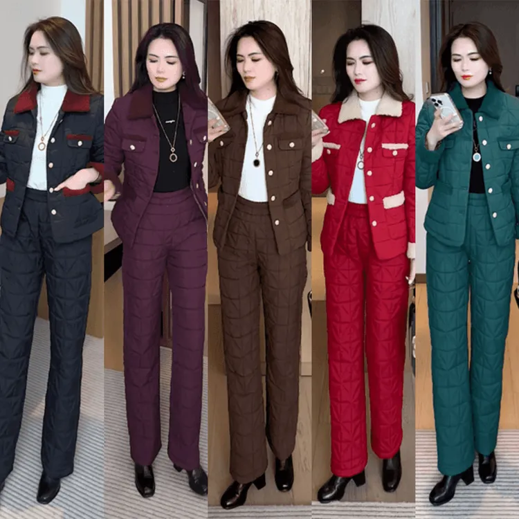 2025新款两件套显瘦气质短款时尚休闲修身保暖冬季百搭女士加厚