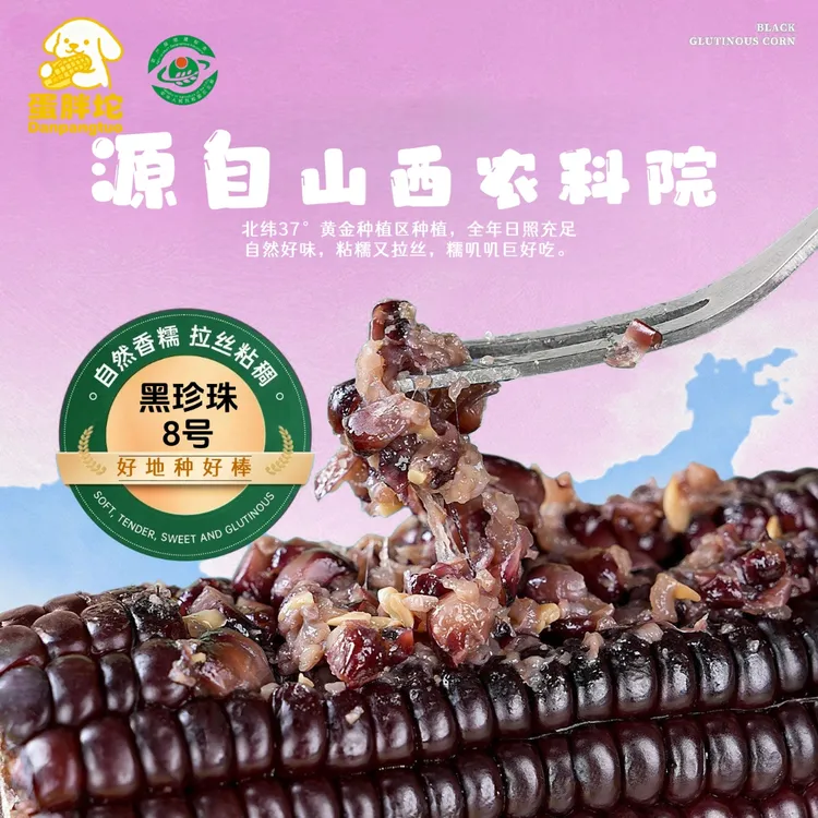 山西头茬黑糯玉米新鲜采摘软糯香甜真空包装