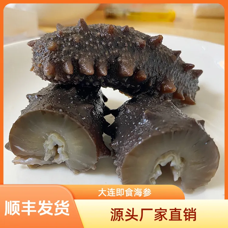 【北海厂家直发】源参鲜捞海参营养补品海鲜大连海参速冻即食