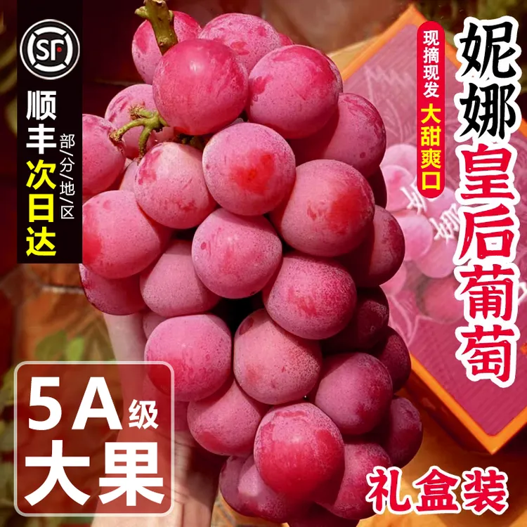 正宗妮娜皇后葡萄美味香甜当季新鲜大颗粒无籽孕妇水果顺丰包邮