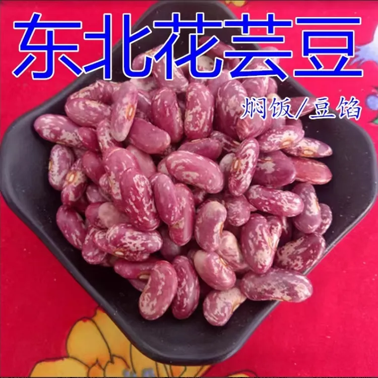 2025年东北特产紫花芸豆5斤包邮！
