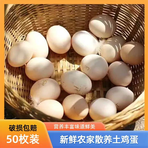 【只发好鸡蛋】50枚农家散养新鲜营养适合宝妈的土鸡蛋早餐破损包赔
