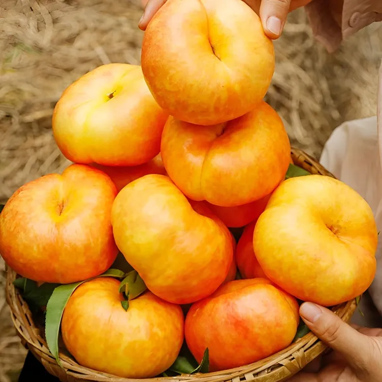 彩虹油蟠桃硬吃脆甜软吃爆汁新鲜夏日应季水果