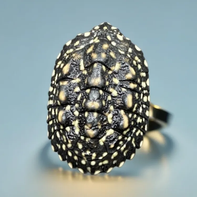 正宗满天星斑点池龟热带观赏宠物深水活体乌龟乌龟活体