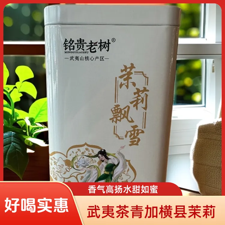 铭贵老树横县茉莉花茶茉莉飘雪2025新茶上市绿茶花茶125g特色茶叶