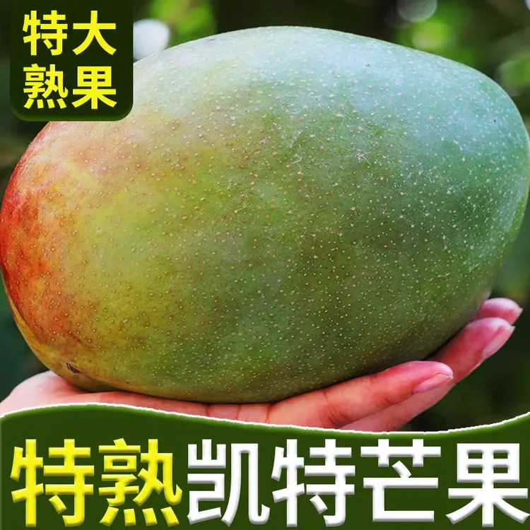 正宗攀枝花凯特芒9斤新鲜芒果大果青当季水果斤产地直发整箱爆甜