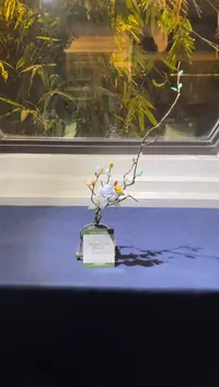 【闪购商品】翡翠挂件未镶嵌摆件