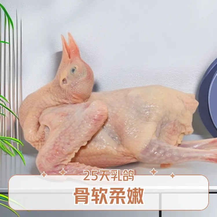 25天乳鸽，皮脆肉嫩骨透香，嫩嫩嫩~