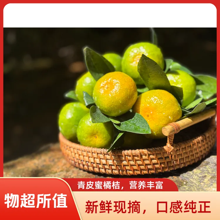 江西赣南寻乌现摘无籽青皮蜜桔新鲜应季水果