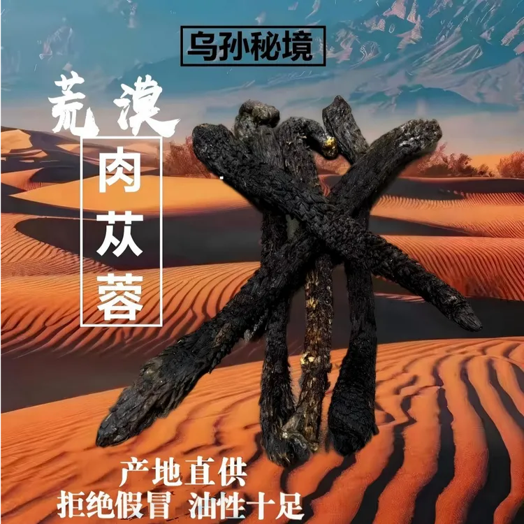 【新疆直发荒漠肉苁蓉】精选中根沙漠肉苁蓉大芸煲汤泡酒煮水无添加