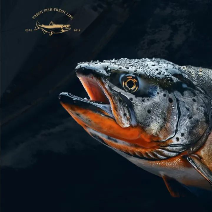 【300g新西兰帝王鲑三文鱼】现切精修送料包汁顺丰冷链