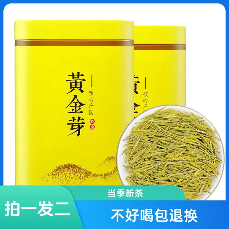 浓香耐泡白茶黄金芽茶叶新茶浓香型雨前白茶高山安吉绿茶罐装包邮