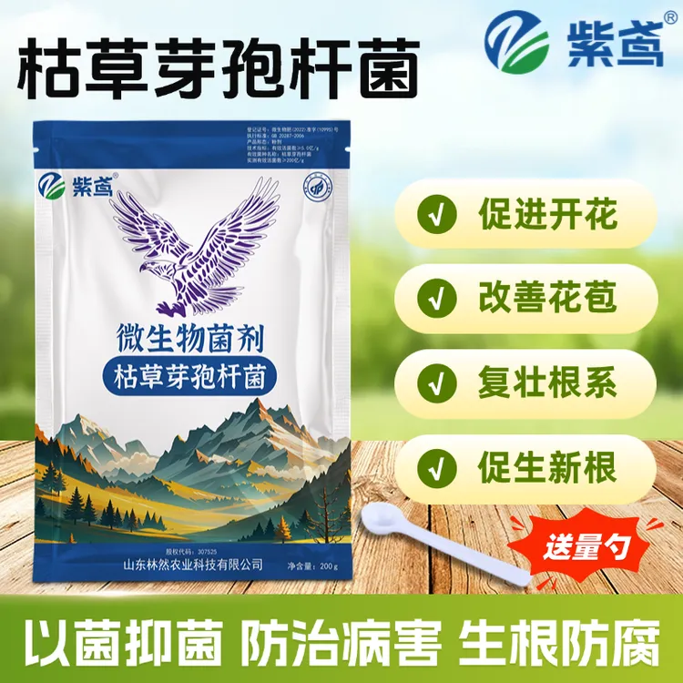 枯草芽孢杆菌活菌壮根促苗调节土壤促生长兰花桂花专用
