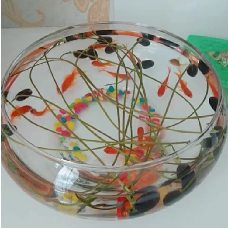 水培玻璃花瓶透明碗莲荷花铜钱草盆缸养睡莲的专用花盆鱼缸植物器